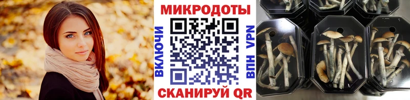mega сайт  Ясногорск  Псилоцибиновые грибы Cubensis  закладки 
